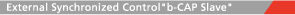 External Synchronized Control'b-CAP Slave'